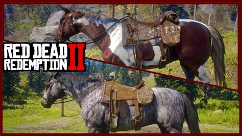 rdr2 horse race stranger|rdr2 random encounters.